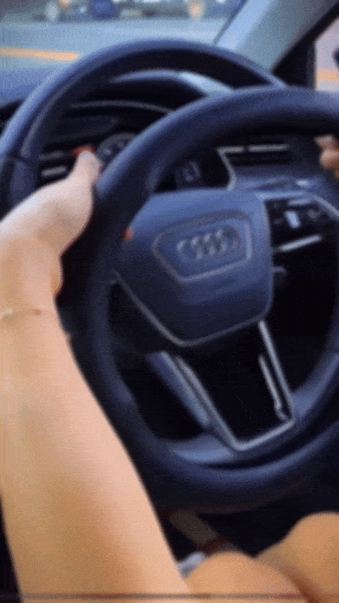 Husă de Protecție Germană pentru Volanul Mașinii